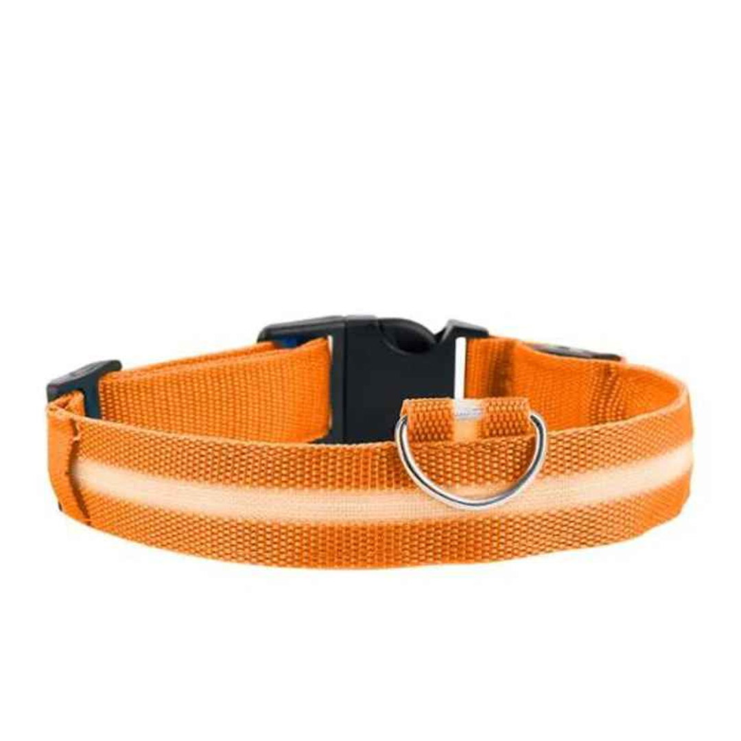 LED-halsbånd til hund