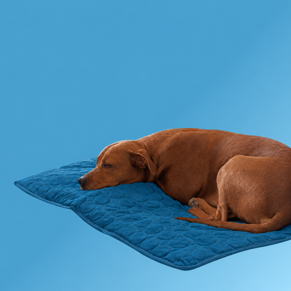 ArcticCloud® - Kjølende hundematte (1+1 GRATIS)