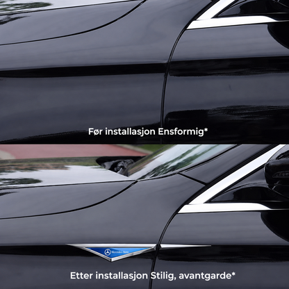 Auto Logo-emblem