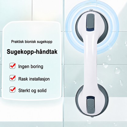 Veggfeste