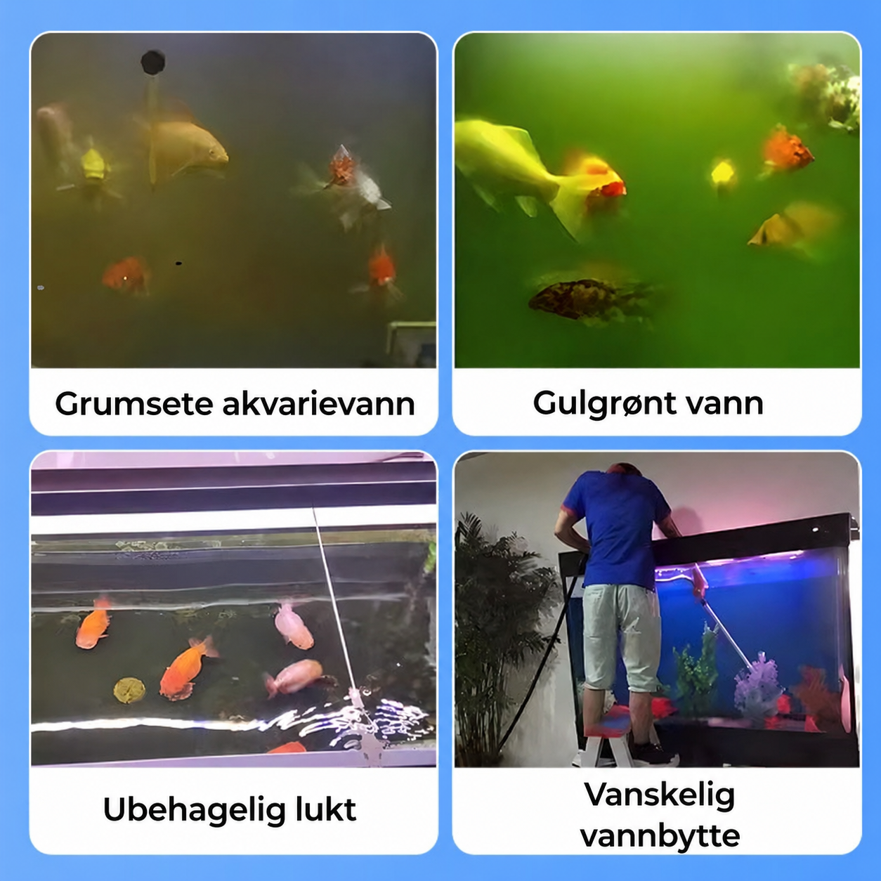 Vannrensetabletter for akvarier