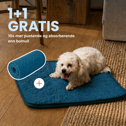 ArcticCloud® - Kjølende hundematte (1+1 GRATIS)