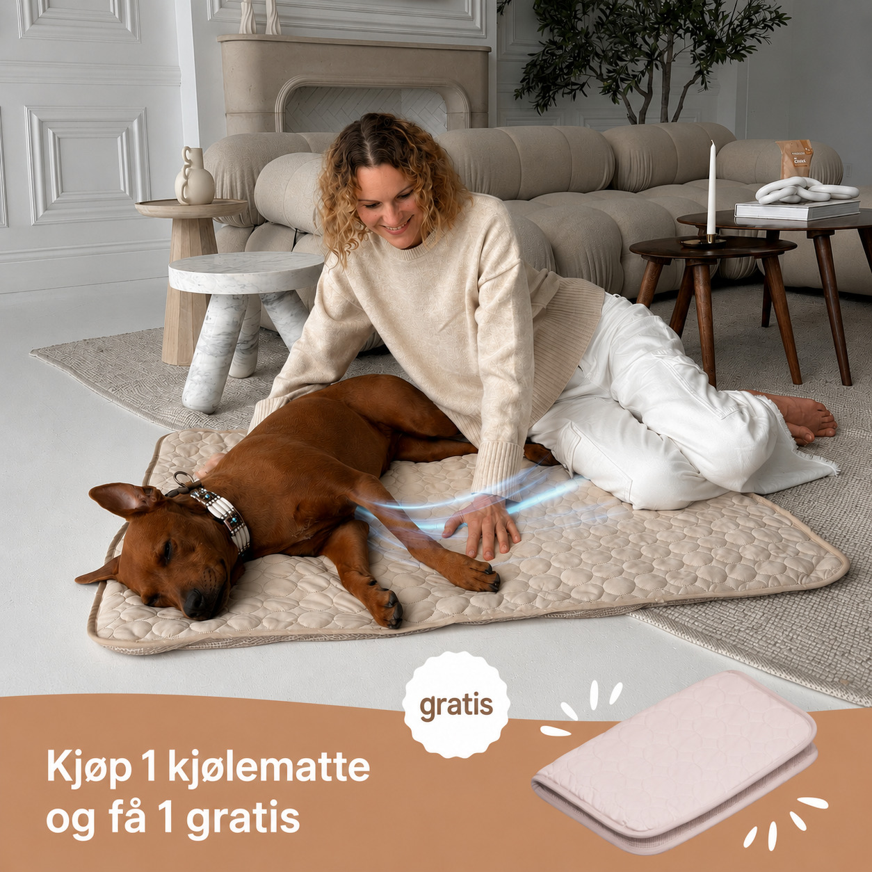 ArcticCloud® - Kjølende hundematte (1+1 GRATIS)