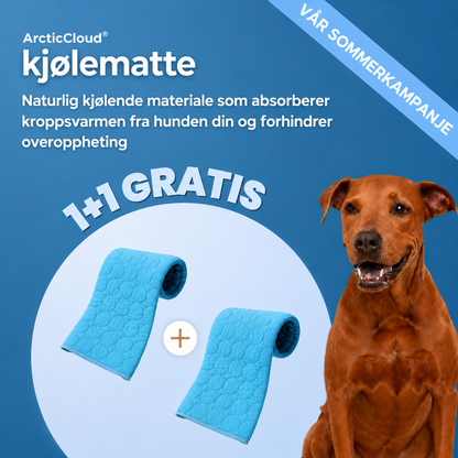 ArcticCloud® - Kjølende hundematte (1+1 GRATIS)