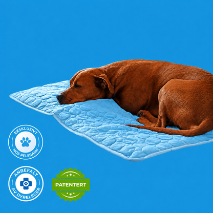 ArcticCloud® - Kjølende hundematte (1+1 GRATIS)