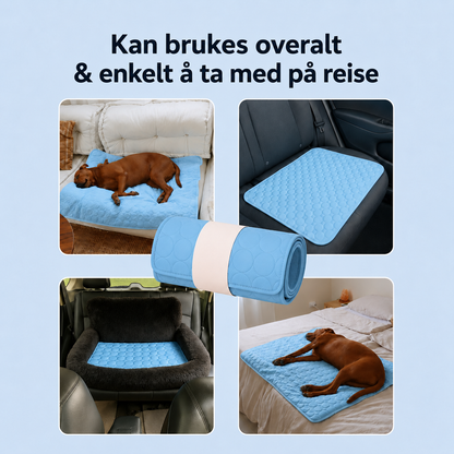 ArcticCloud® - Kjølende hundematte (1+1 GRATIS)