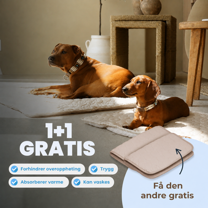 ArcticCloud® - Kjølende hundematte (1+1 GRATIS)