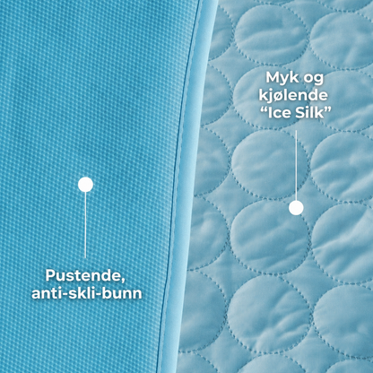 ArcticCloud® - Kjølende hundematte (1+1 GRATIS)