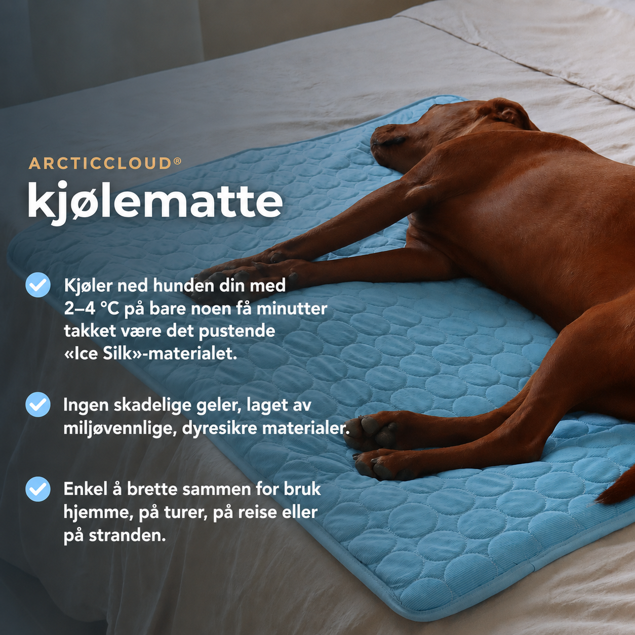 ArcticCloud® - Kjølende hundematte (1+1 GRATIS)