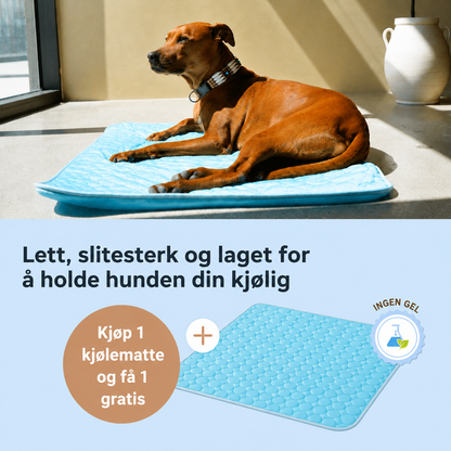 ArcticCloud® - Kjølende hundematte (1+1 GRATIS)