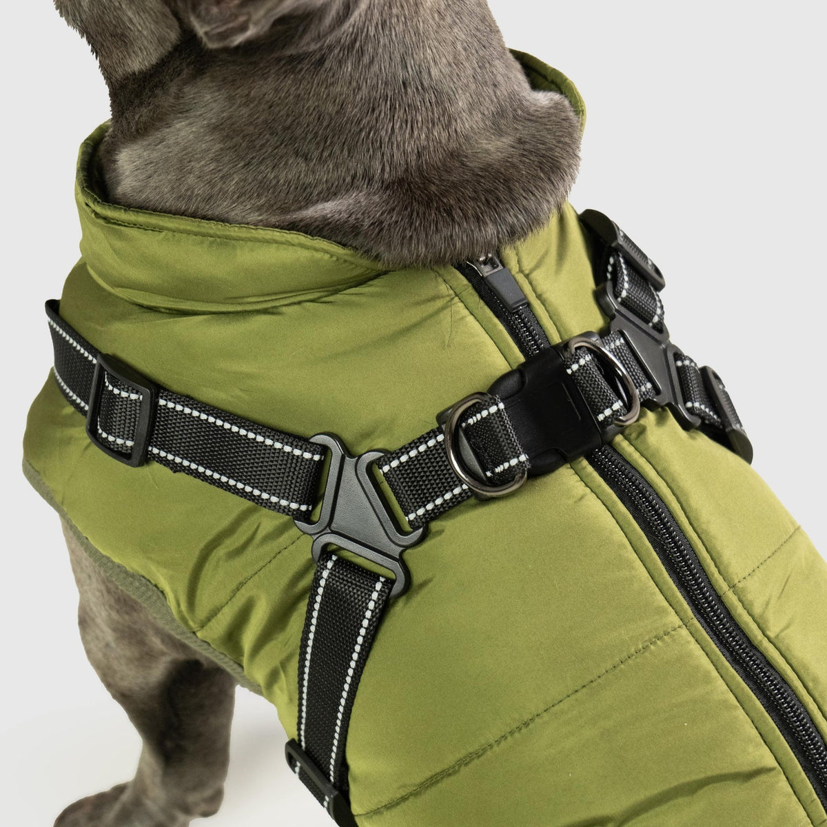 Petstar™ – Vanntett vinterjakke med innebygd sele